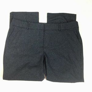 Ann Taylor LOFT Plus Marisa pants Ladies plus 20